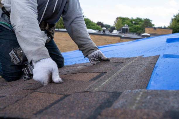 Roof Repair Estimates in Meadow Glade, WA