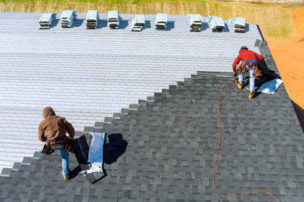 Roof Waterproofing Services in Meadow Glade, WA