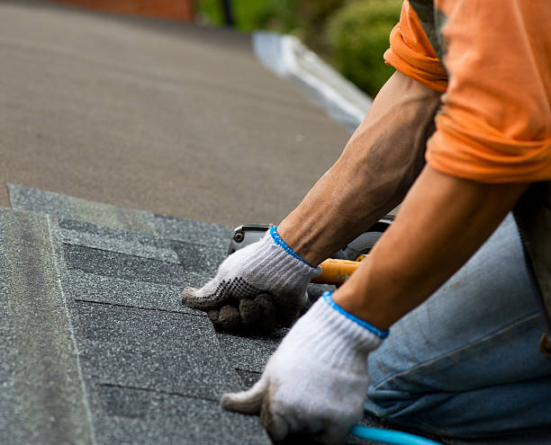 Best Gutter Installation and Roofing  in Meadow Glade, WA