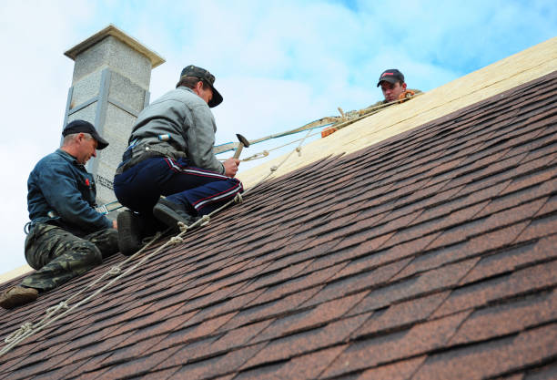 Best Storm Damage Roof Repair  in Meadow Glade, WA